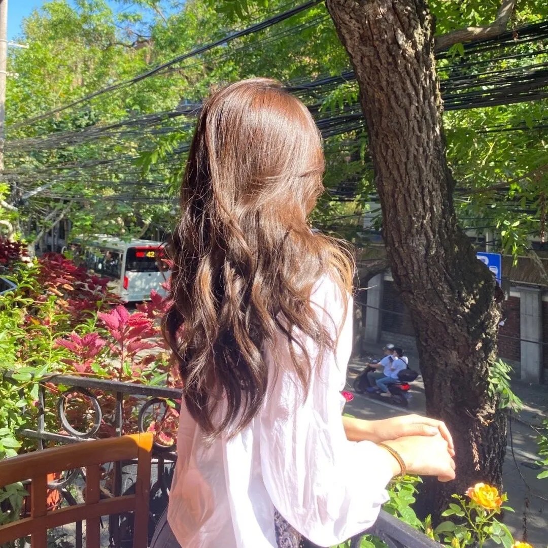 明月守护者
